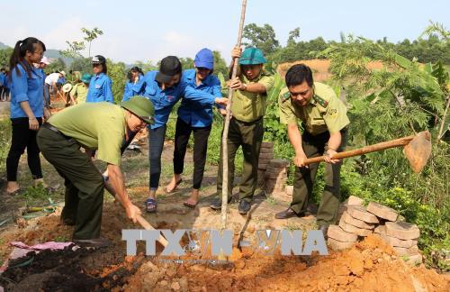 Việt Nam hưởng ứng Ngày thế giới phòng chống sa mạc hóa 
